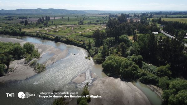Día Mundial de los Humedales: claves para la biodiversidad en Chile.