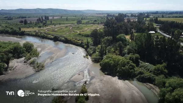 Día Mundial de los Humedales: claves para la biodiversidad en Chile.