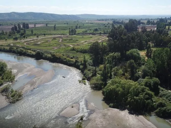 Día Mundial de los Humedales: claves para la biodiversidad en Chile.