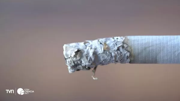 Persona fumando, una de las principales causas de cáncer del mundo.