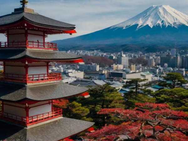 RECETA JAPONESA VIRAL TIKTOK