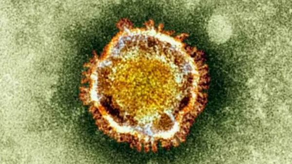 Día Mundial contra el Cáncer: Principal causa de muerte en Chile