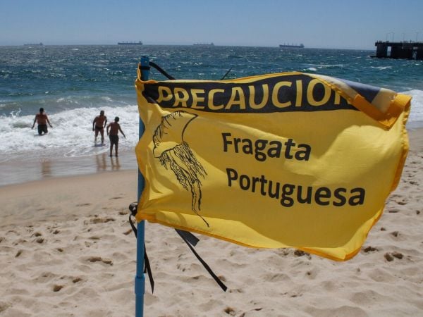 ALERTA por fragata portuguesa en playas de Chile