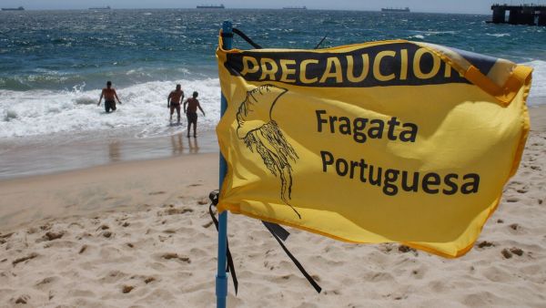 ALERTA por fragata portuguesa en playas de Chile