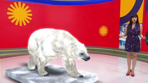 Revivamos Conciencia 24.7: 5 de febrero.