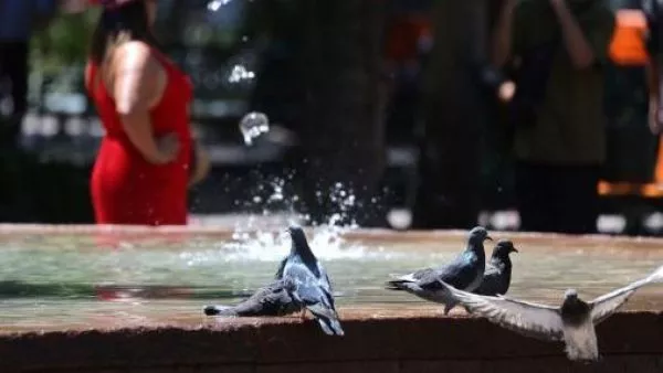 Senapred emite alerta por calor intenso en la Región Metropolitana