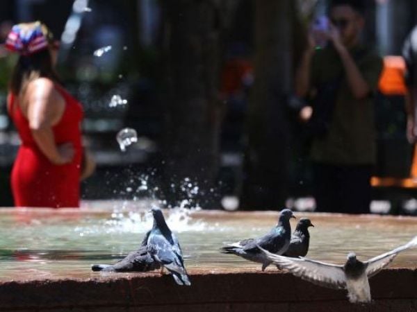 Senapred emite alerta por calor intenso en la Región Metropolitana