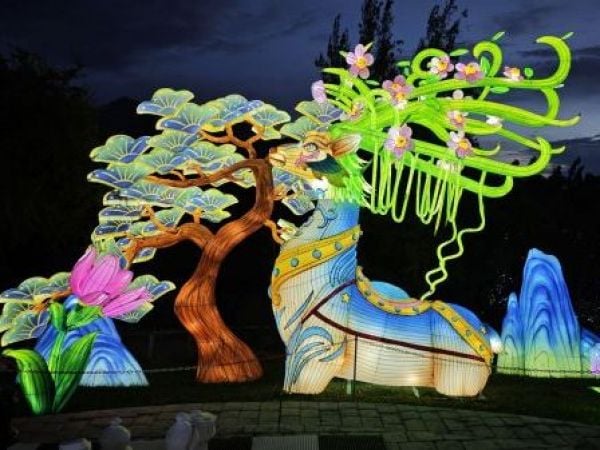 Tianfu Festival vuelve a Santiago con propuesta inédita: Revisa en qué comunas estará