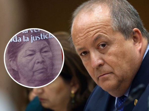 Fiscal nacional por presunto asesinato de Julia Chuñil.