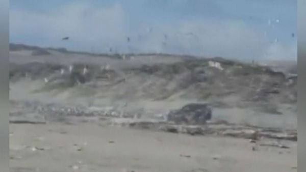 Sujeto ingresó con su auto a área protegida en playa Ritoque