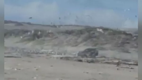 Sujeto ingresó con su auto a área protegida en playa Ritoque