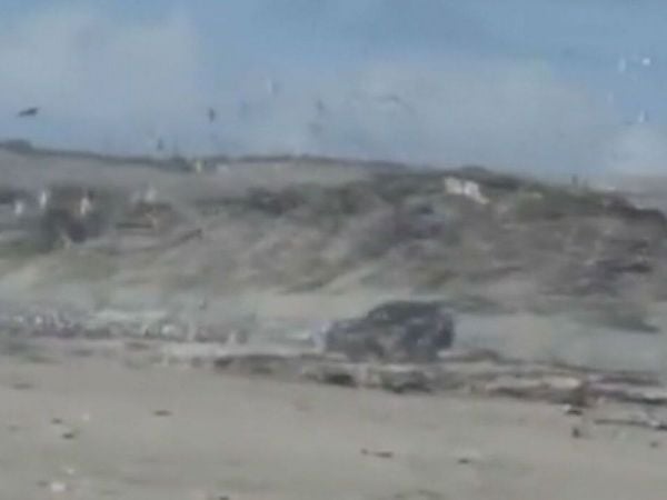 Sujeto ingresó con su auto a área protegida en playa Ritoque