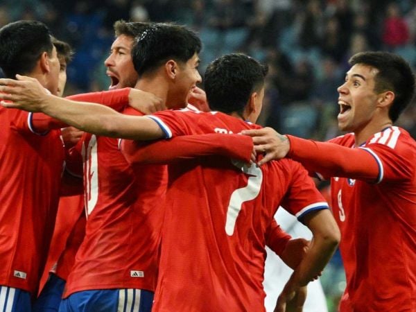 Plantel de la Selección Chilena celebrando un gol