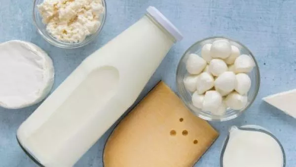 Empresa chilena de lácteos solicitó quiebra