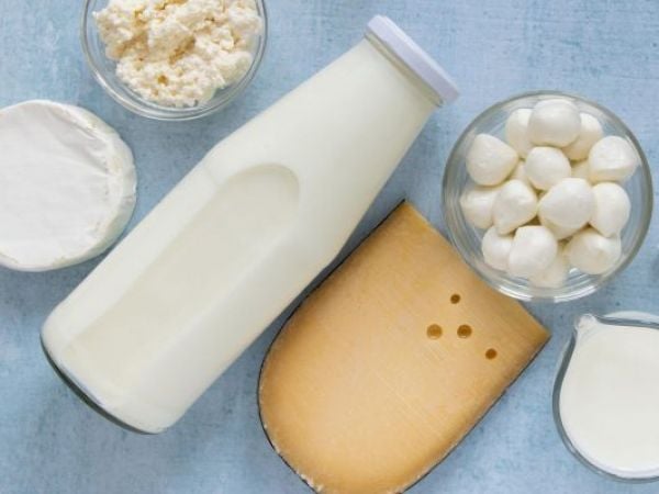 Empresa chilena de lácteos solicitó quiebra