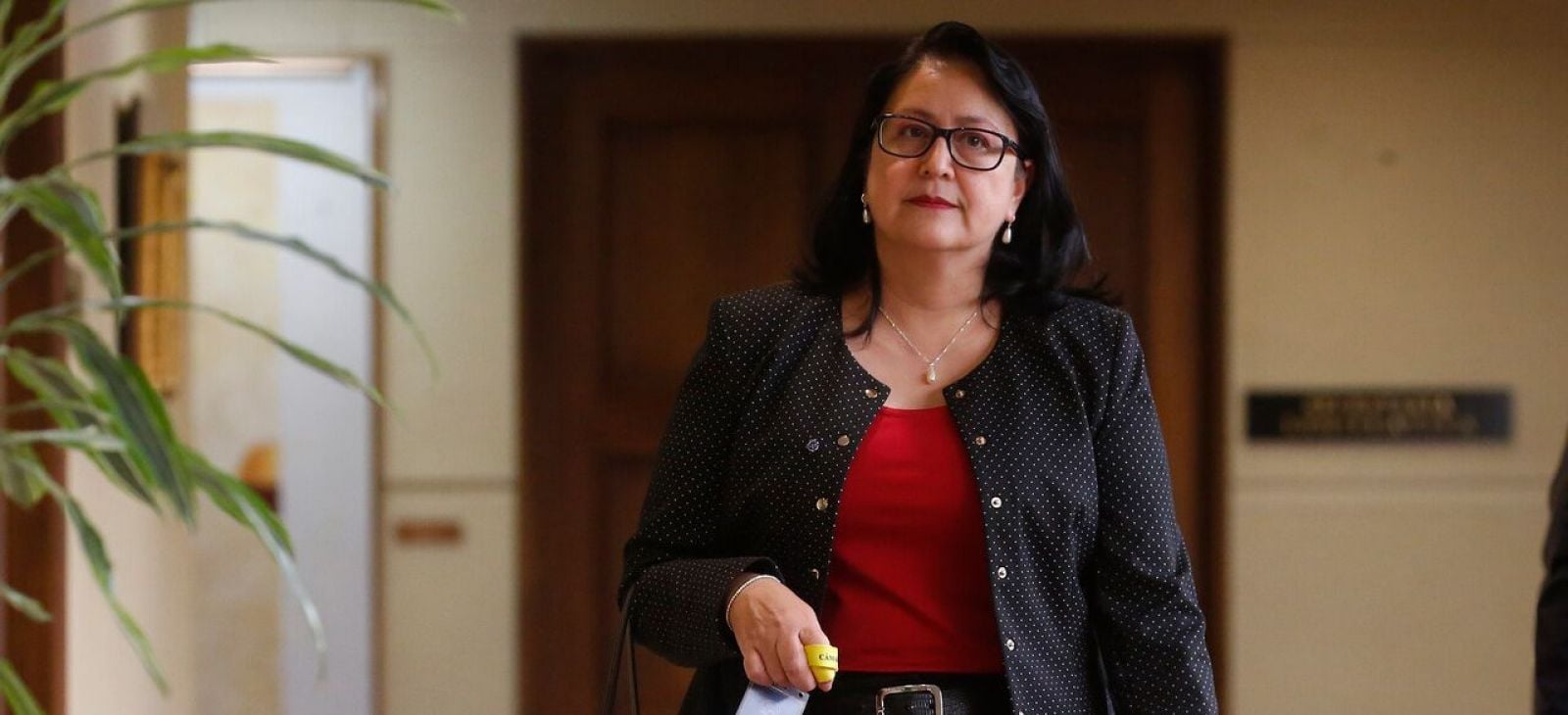 Foto: Aton / Dorothy Pérez.