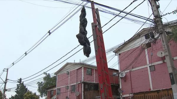 No solo en Lo Espejo: alcaldes amenazados de muerte por narcotraficantes