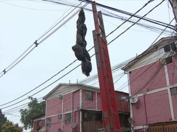 No solo en Lo Espejo: alcaldes amenazados de muerte por narcotraficantes