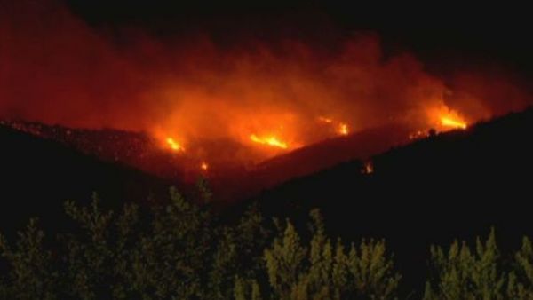 Alerta Roja: 140 hectáreas afectadas por incendio forestal en Concón y Limache