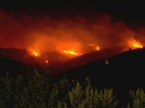 Alerta Roja: 140 hectáreas afectadas por incendio forestal en Concón y Limache