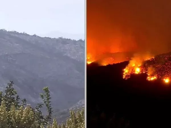 Alerta Roja por incendio en Concón y Limache