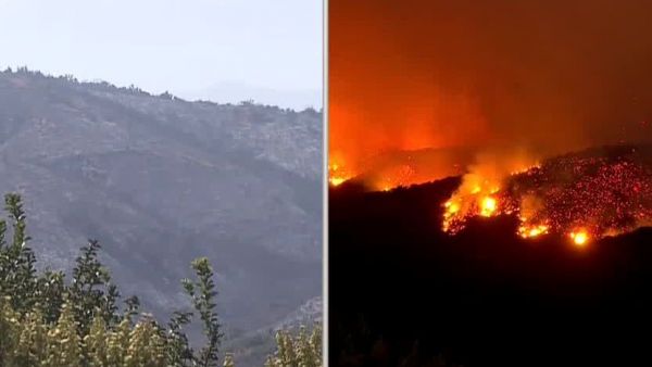 Alerta Roja por incendio en Concón y Limache