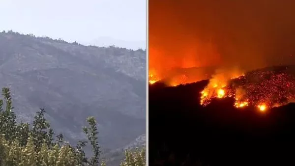 Alerta Roja por incendio en Concón y Limache