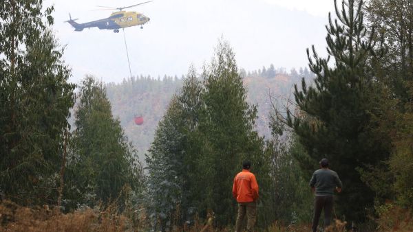 Por incendio forestal: solicitan evacuar sectores de la comuna de Vichuquén