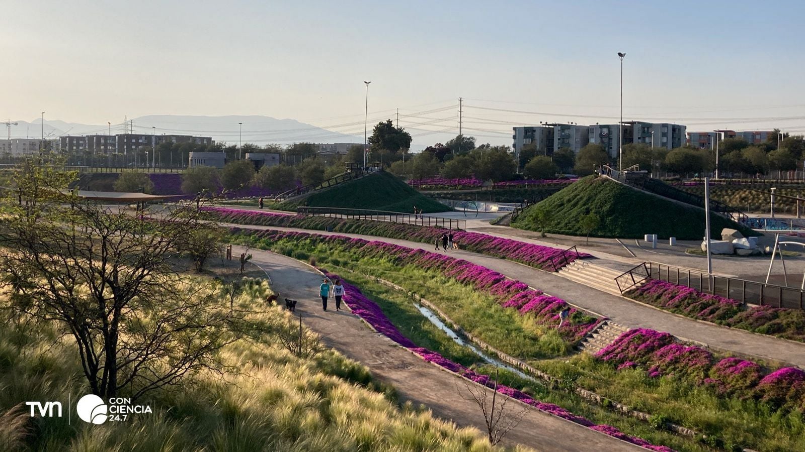 Parque o zona fría de Santiago.