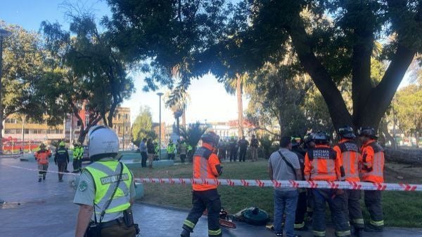 mujer muerte tras caída de árbol en Valparaíso