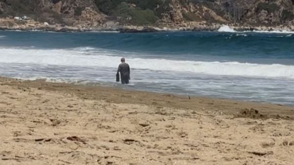 Ciudadanos chinos depredan playa de Quintay sin autorización