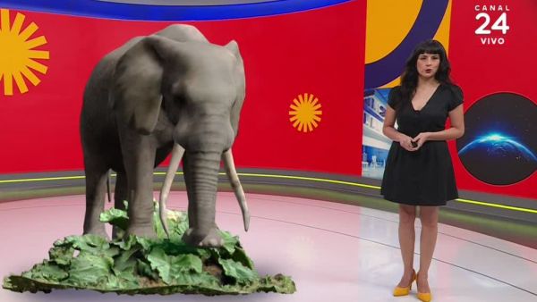 Revivamos Conciencia 24.7: 20 de febrero