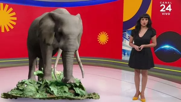 Revivamos Conciencia 24.7: 20 de febrero