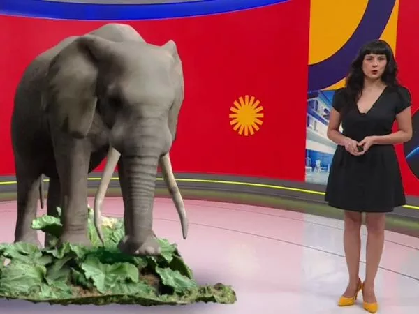 Revivamos Conciencia 24.7: 20 de febrero