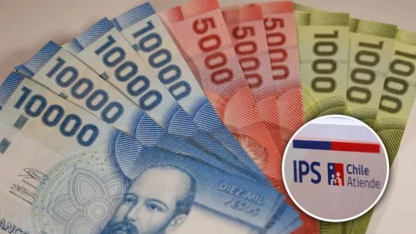 Bono Marzo. Billetes