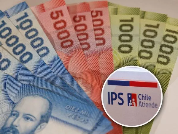 Bono Marzo. Billetes