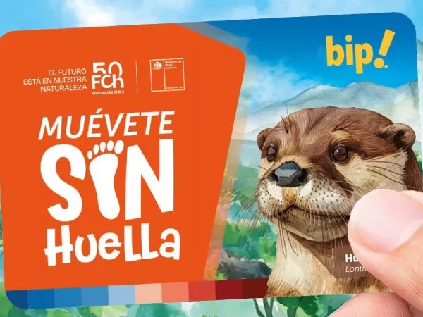 Tarjeta bip! de huillín