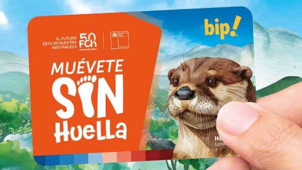 Tarjeta bip! de huillín