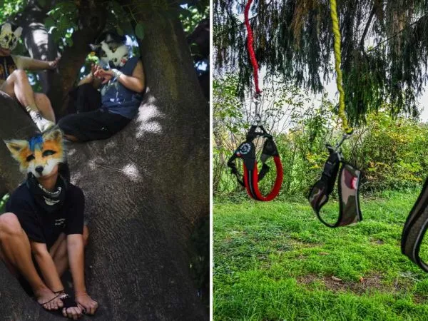 Personas como Therian y correas de Hobby Dogging