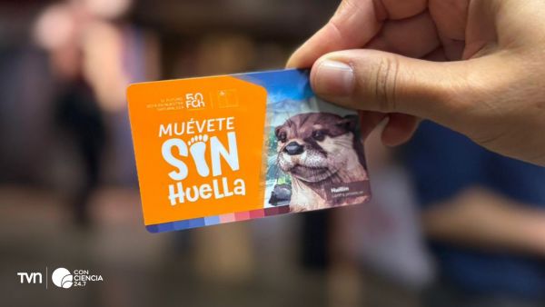 Nueva tarjeta Bip!.