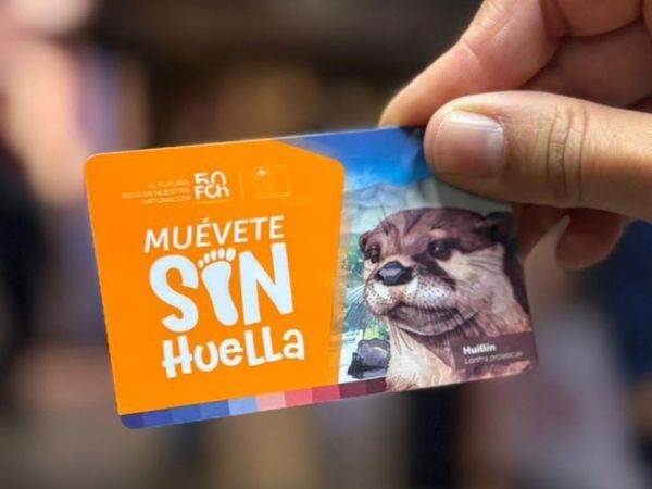 Nueva tarjeta Bip!.