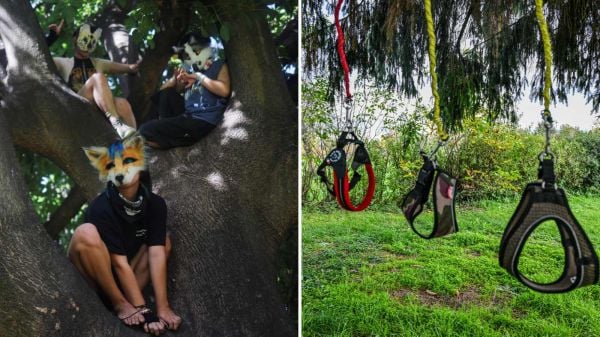 Personas como Therian y correas de Hobby Dogging