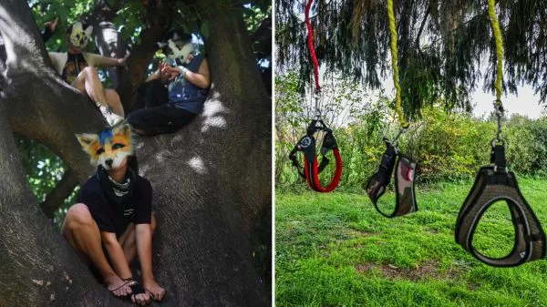 Personas como Therian y correas de Hobby Dogging