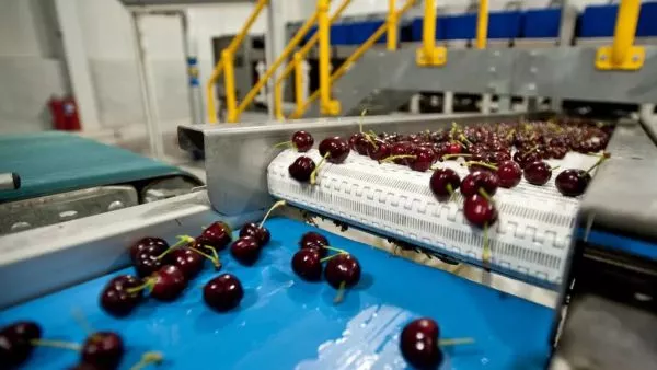 Los 6 productos chilenos que son furor en el mundo