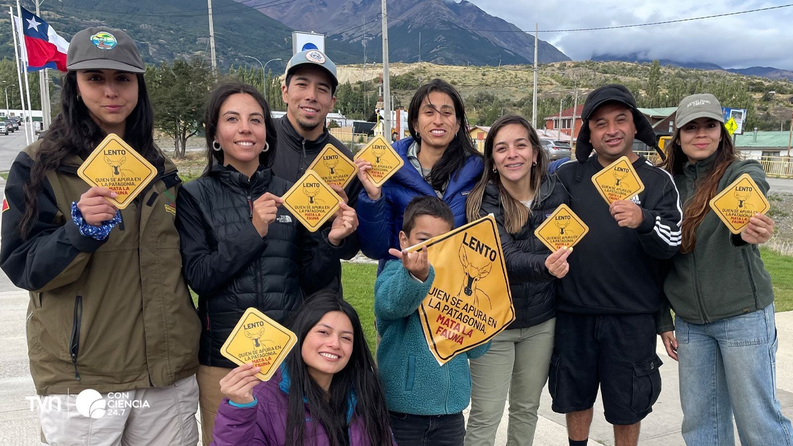 Campaña busca frenar atropellos de huemules.