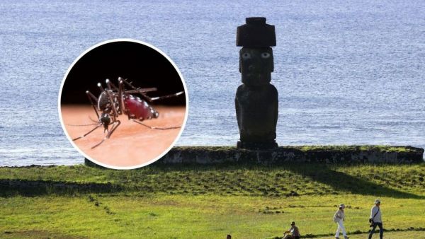 Dengue en Rapa Nui.
