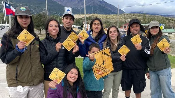 Campaña busca frenar atropellos de huemules.