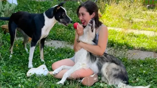 Perros en adopción tras fallecimiento de su dueña