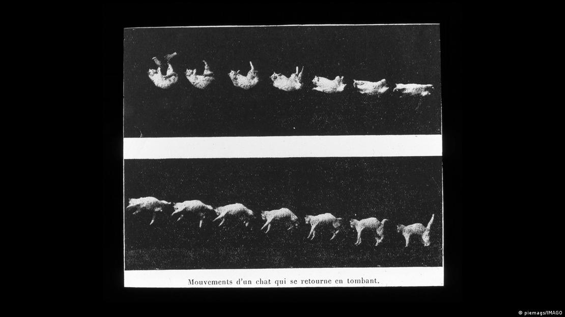 El fisiólogo francés Étienne-Jules Marey captó en 1894 la caída de un gato con una de las primeras cámaras de alta velocidad.