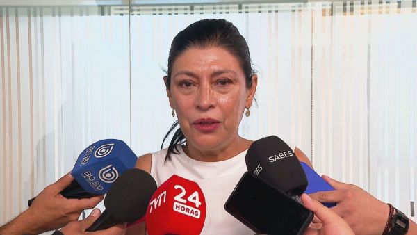 Directora del Serviu del Biobío, María Luz Gajardo.